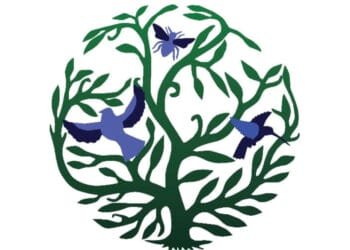 Wynne Farm en danger, Presnel Colas et Peterson Dorsainvil lancent un SOS